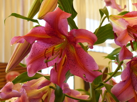 Foto: Dr. Peter Müller